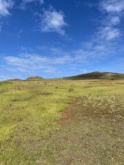 Prairie à l'île de Pâques