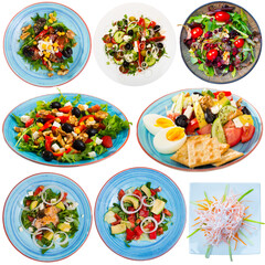 Set of various appetizing salads isolated on white background..