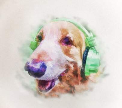 Painting Of A Dog Wearing Headphones To Music