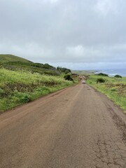 Route de l'île de Pâques	