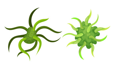Virus and Microbes of Different Shape with Flagella Vector Set