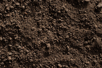Soil texture background, Fertile soil for planting.
