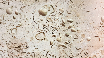 Yellow stone. Stone texture. Antique shell rock exterior wall. Close-up of building blocks.