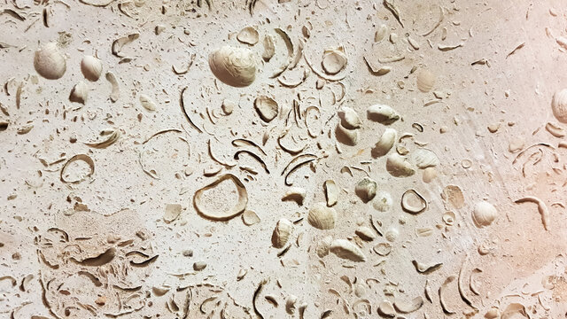 Yellow stone. Stone texture. Antique shell rock exterior wall. Close-up of building blocks.