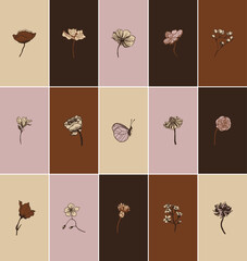 Vector pastel collections of instagram highlight cover. Concept botanical icons.