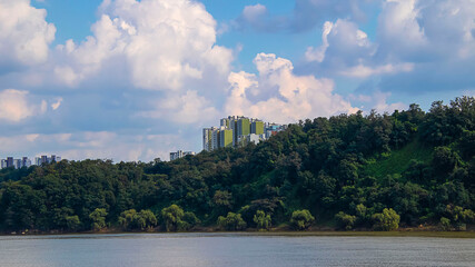 Fototapeta premium condominiums on the riverside