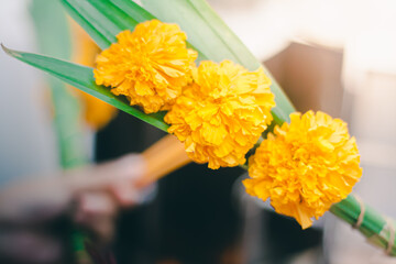 Marigold flowers for worshiping Buddha images