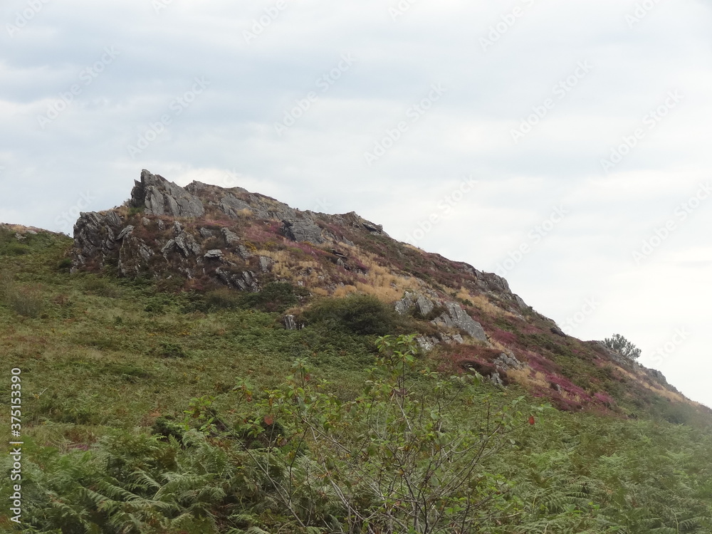 Canvas Prints roc trevezel, botmeur, finistère, mont d'arrée, bretagne, france