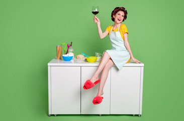 Full size photo of attractive lady sitting table kitchen curlers charming housewife good mood drink red wine alcohol wear pinup dotted dress apron slippers isolated green color background