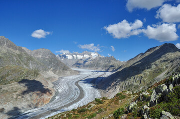 Great Aletsch Glacier from Moosfluh, Switzerland