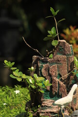garden decoration with green plant picture