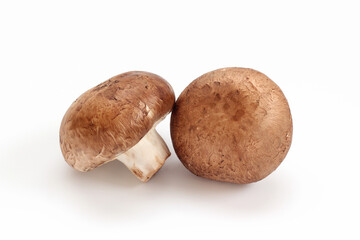 ブラウンマッシュルーム