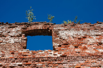 Ruined brick ancient wall with window hole and trees on top in sunny day