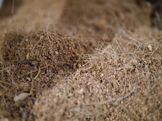 Close up of soil for tree planting