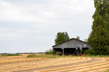 hangar