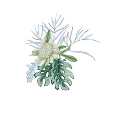 Composition with elements of Australian nature. Isolated on a white background.