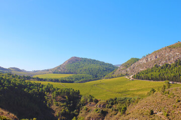 Luscious green landscape with rocky outcrop amongst vineyards