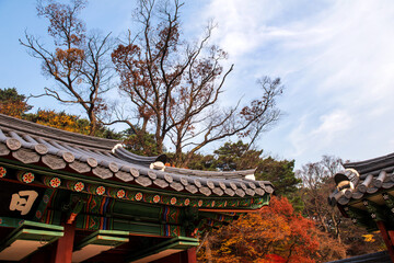 


















The autumn colorful landscape of ancient traditional house at fall.



