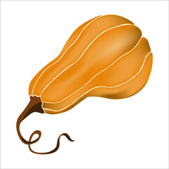  Vegetable pumpkins with green leaves isolated. Realistic vector, 3d illustration. Scary pumpkin.