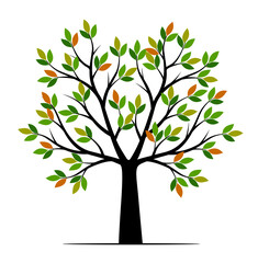 Shape of Tree with leaves and Roots. Vector outline Illustration. Plant in Garden.