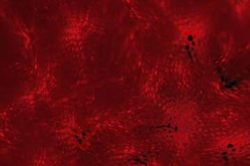 Abstract shapes in red colors