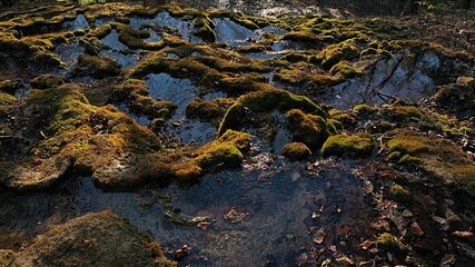 Mineral spring water reservoirs on travertine stones covered with moss, spring afternoon sunshine. 