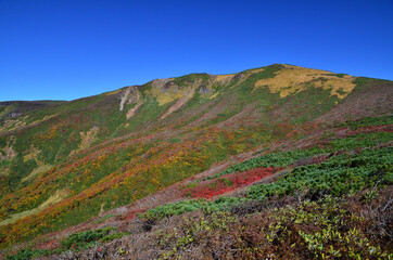 Obraz premium 栗駒山の斜面の紅葉と快晴の青空