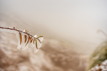 Nieve en Salta