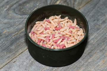 Red and white fly larvae close-up in an open fishing can on a wooden shabby gray background.