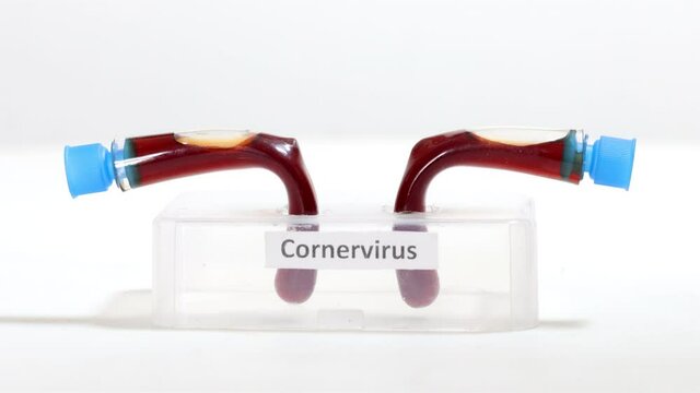 The two turned test tubes with labels of corner virus standing in rack on a white table. A Research of a fictional virus at laboratory.