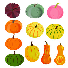 Autumn set with vector pumpkins. Colorful pumpkins of different shapes in a flat style isolated on a white background. Perfect for Halloween cards, children's books, magazines