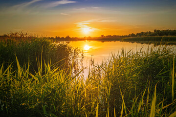 Fototapeta na wymiar Scenic view at beautiful spring sunset with reflection on a shiny lake with green bushes, grass, golden sun rays, calm water ,deep blue cloudy sky and glow on a background, spring evening landscape
