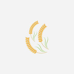 Agriculture wheat  logo vector