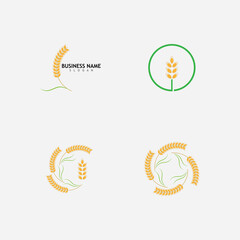 Agriculture wheat  logo vector