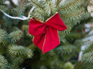 red and white bows on the tree