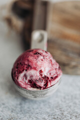 
berry ice cream