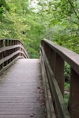 The wooden bridge in the forest.