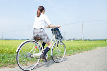 自転車通学する女子高校生