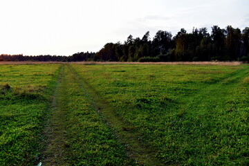 two country roads in a field at sunset