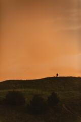 Couple on a hill at sunset