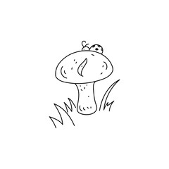 Mushroom in the grass. Vector illustration in a hand-drawn style isolated on a white background. A ladybug is sitting on a mushroom. Black outline