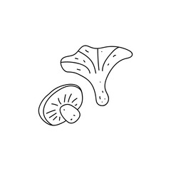 Set of two mushrooms. Simple vector illustration in a hand-drawn style isolated on a white background. Black outline
