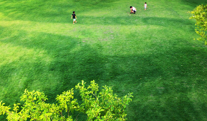 公園の芝生で遊ぶ親子