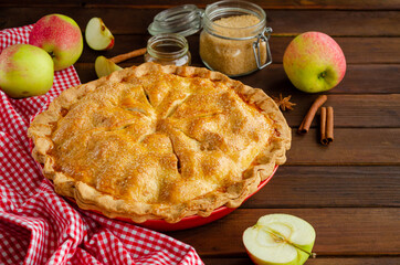 Classic American apple pie with cinnamon on a dark wooden background. Rustic style. Copy space.