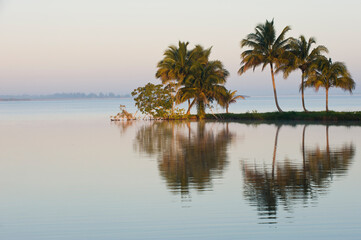 Fototapeta na wymiar Laguna del Tesoro, Treasure Lagoon at sunrise, Zapata Peninsula, Cuba, Central America.