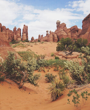 Utah Rockscape