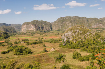 Fototapeta premium Vinales Valley, Tobacco plantation, Mogotes, Vinales, Pinar del Rio Province, Cuba, Central America, Unesco World Heritage Site.