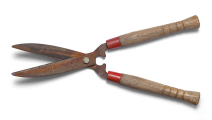 Old Tree Trimmers