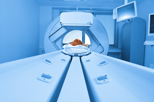 X-Ray