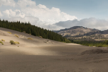 beautiful desert landscape with blankets and trees, day photo